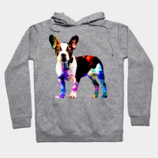 French Bulldog -Frenchie Dog Hoodie